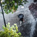 Unwetter-in-Spanien-Gota-Fria